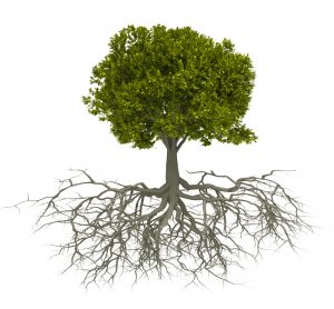 business-growth-and-personal-growth-tree